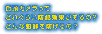 街頭カメラってどれぐらい防犯効果があるの？どんな犯罪を防げるの？